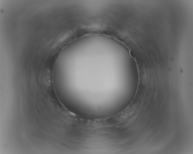 X0000076401301200610202120