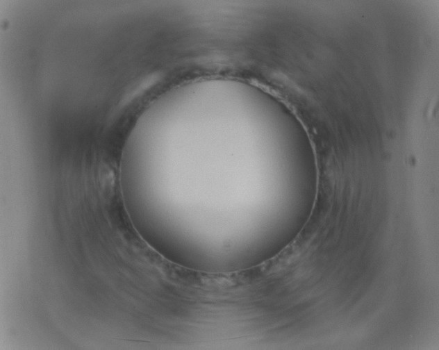 X0000076401302200610202120