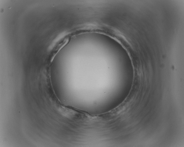 X0000076401304200610202120