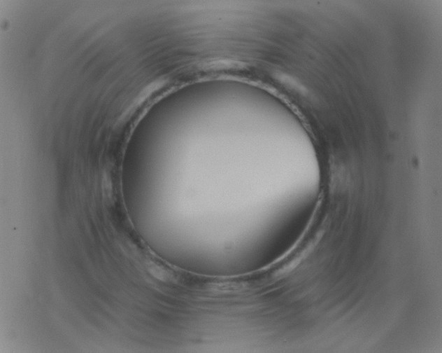 X0000076401305200610202120