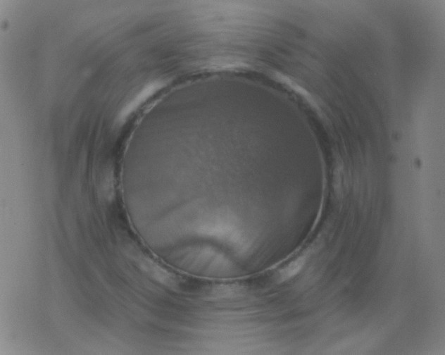 X0000076401306200610202120