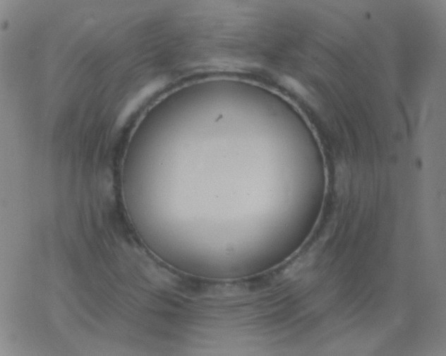 X0000076401307200610202120