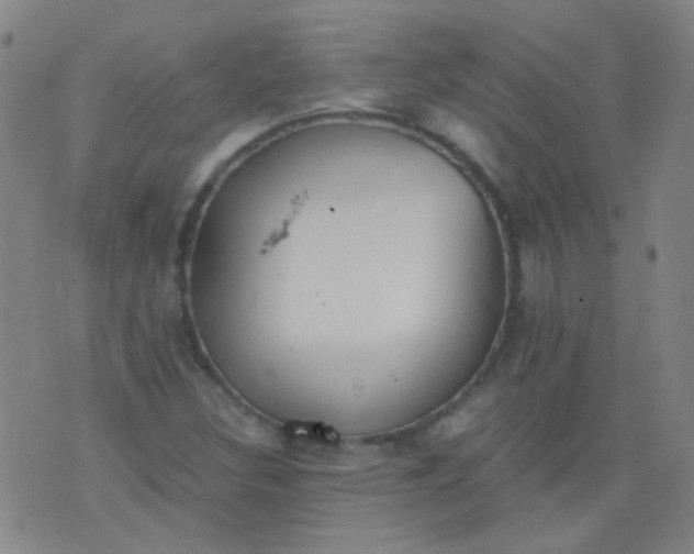 X0000076401308200610202120