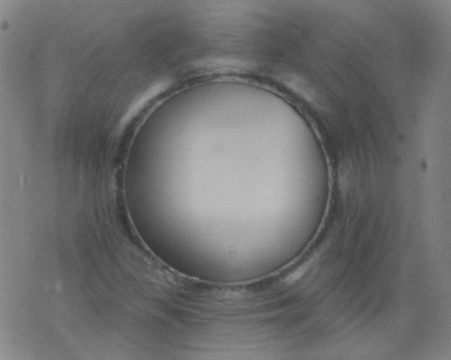 X0000076401309200610202120