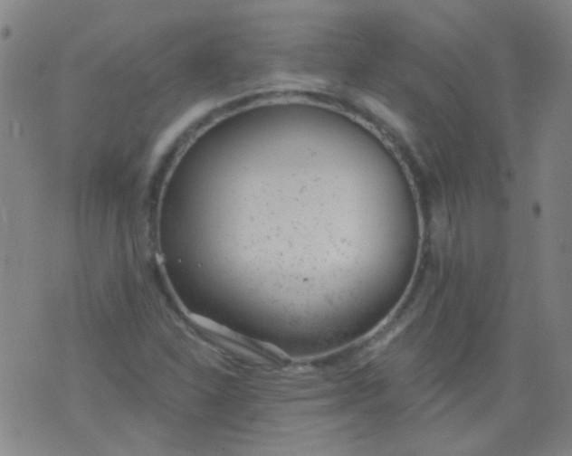 X0000076401310200610202120