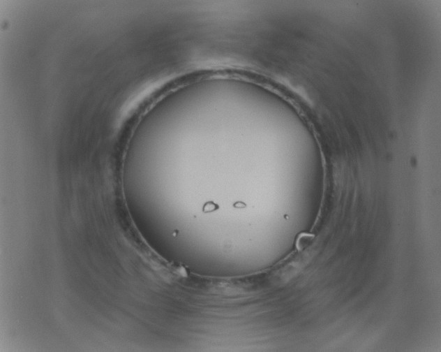 X0000076401311200610202120