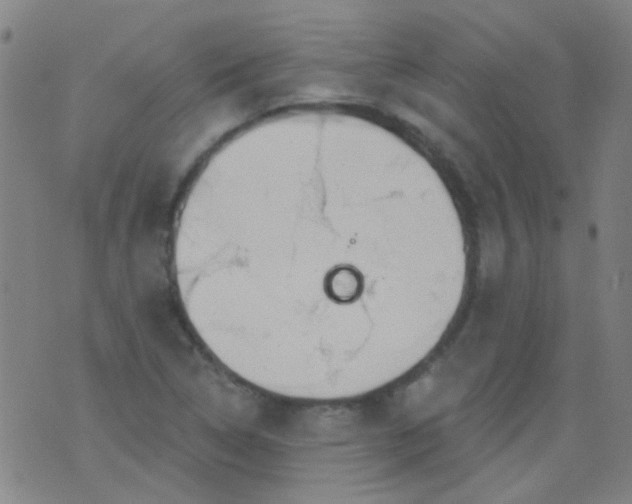 X0000076401314200610202120