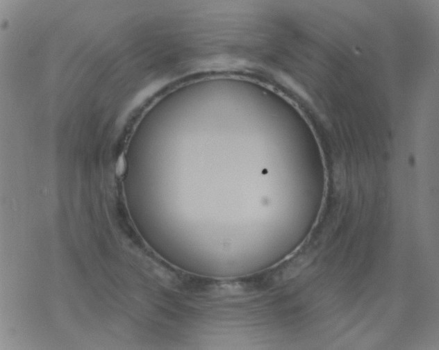 X0000076401315200610202120