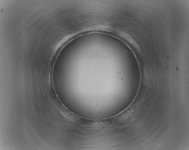 X0000076401316200610202120