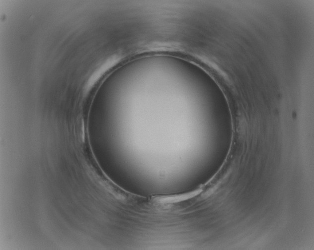 X0000076401317200610202120