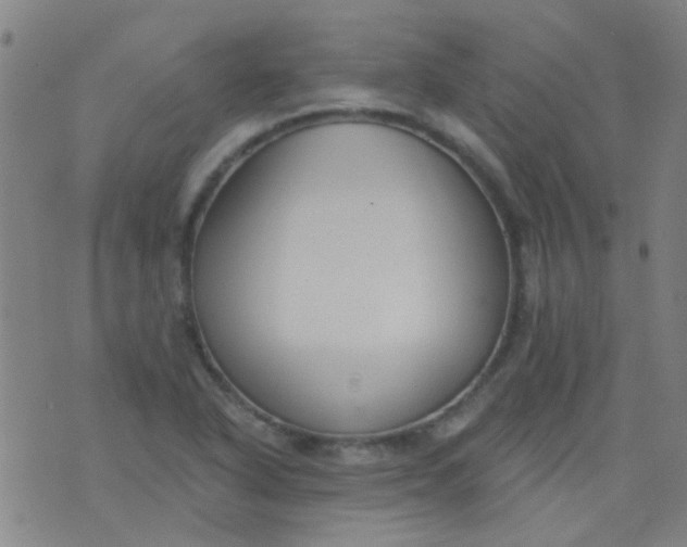 X0000076401318200610202120