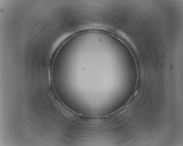 X0000076401320200610202120