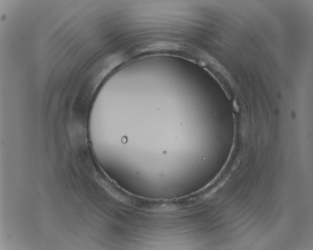 X0000076401321200610202120