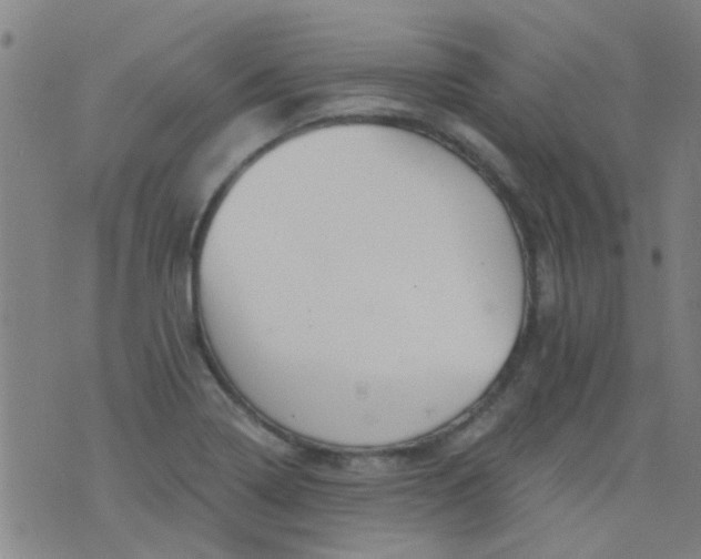 X0000076401322200610202120