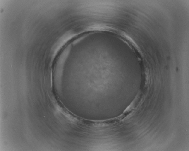 X0000076401323200610202120