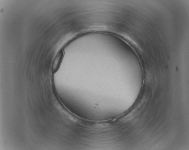 X0000076401325200610202120