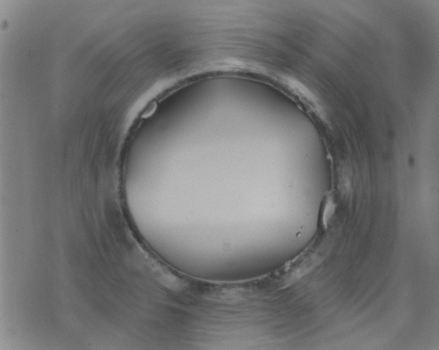 X0000076401326200610202120