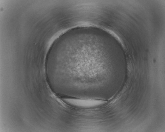 X0000076401327200610202120