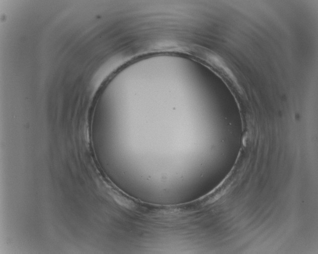 X0000076401328200610202120