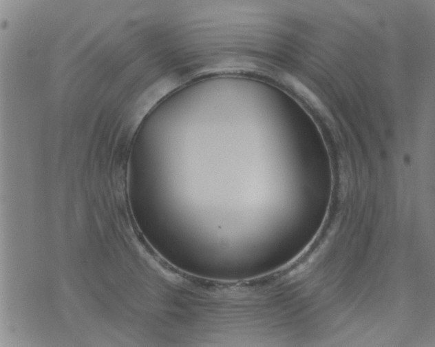 X0000076401329200610202120