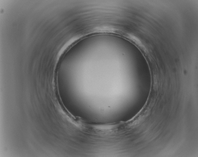 X0000076401331200610202120