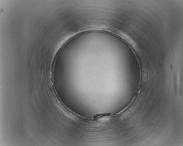 X0000076401332200610202120