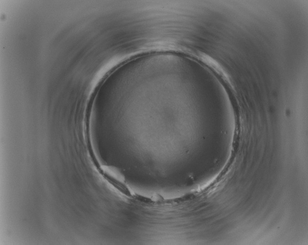 X0000076401334200610202120