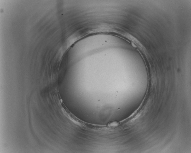 X0000076401337200610202120