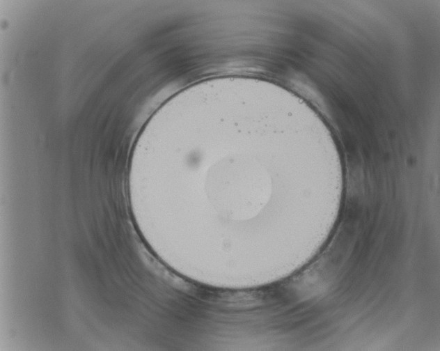 X0000076401338200610202120