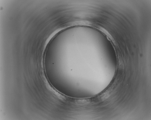 X0000076401339200610202120