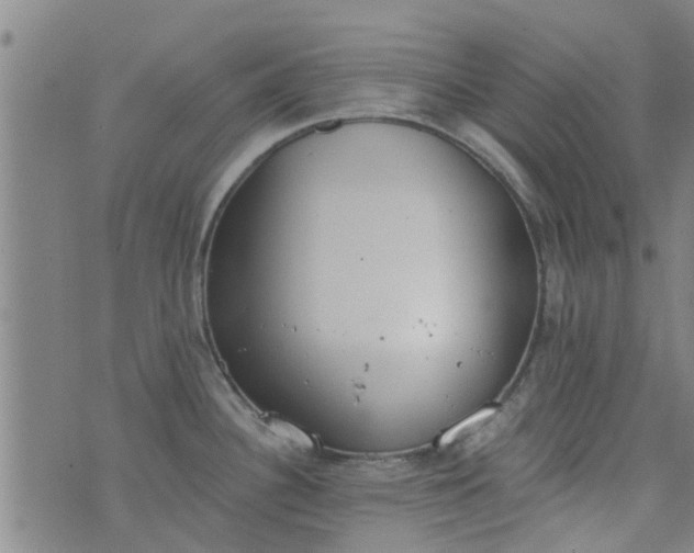 X0000076401340200610202120