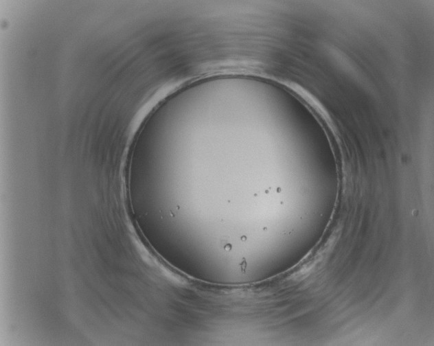 X0000076401341200610202120