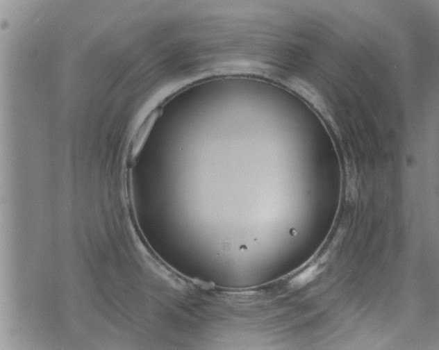 X0000076401342200610202120