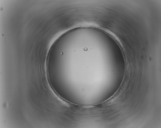 X0000076401343200610202120