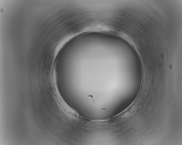 X0000076401344200610202120