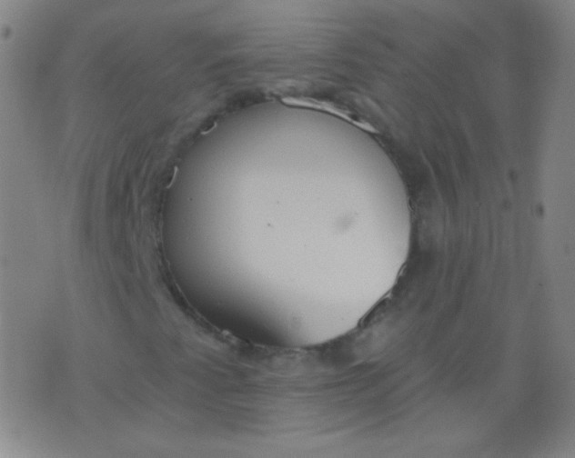 X0000076401345200610202120