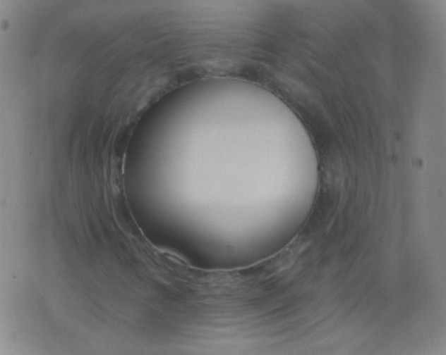 X0000076401346200610202120