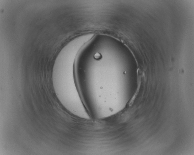 X0000076401348200610202120