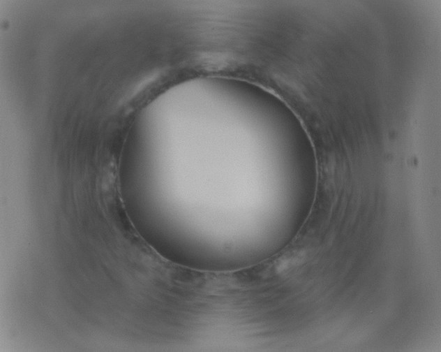 X0000076401349200610202120