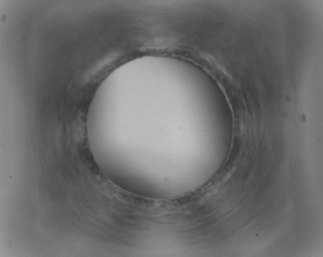 X0000076401350200610202120