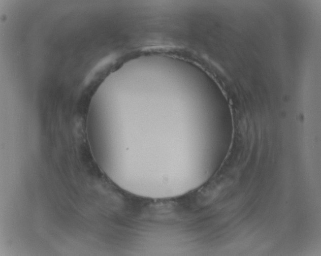 X0000076401351200610202120