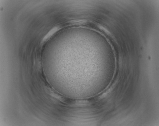 X0000076401354200610202119