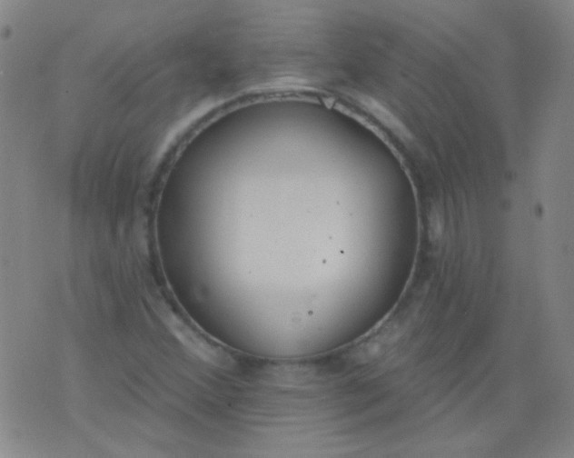 X0000076401356200610202119