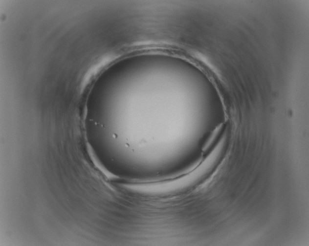 X0000076401357200610202119