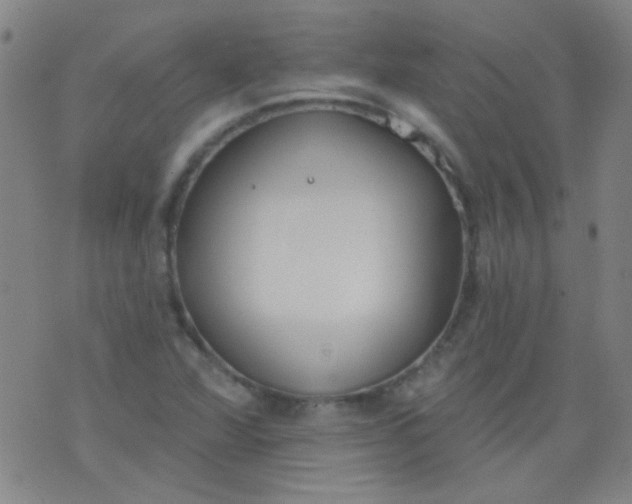 X0000076401360200610202119