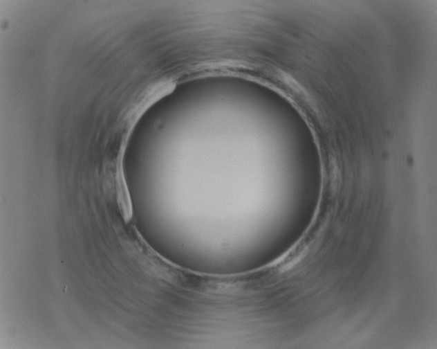 X0000076401361200610202119