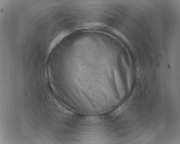 X0000076401362200610202119