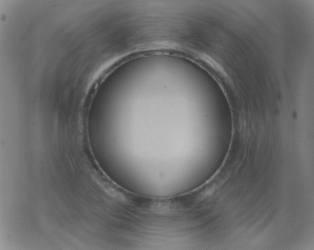 X0000076401364200610202119