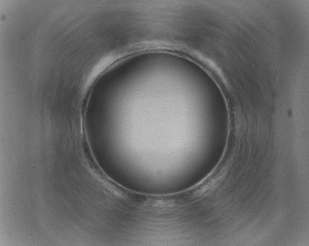 X0000076401365200610202119