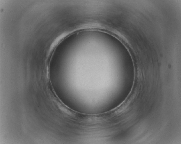 X0000076401366200610202119